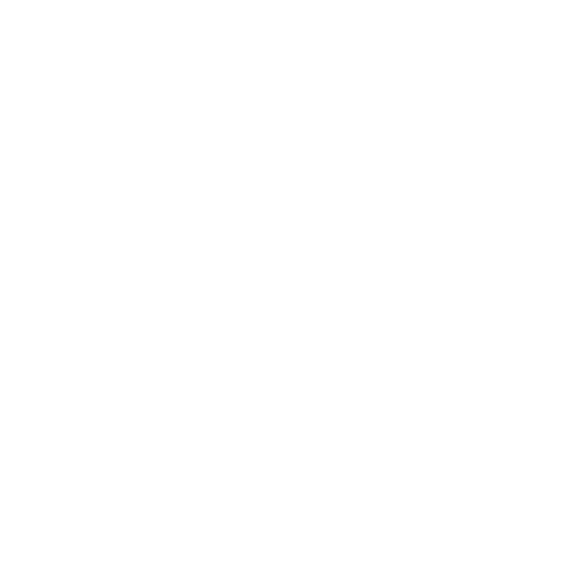 Based Softworks logo